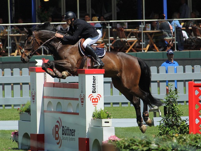 才使得中国 才使得中国