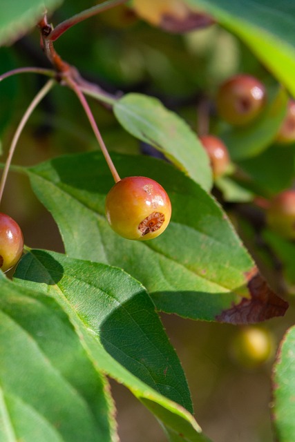 了一些争议 了一些争议