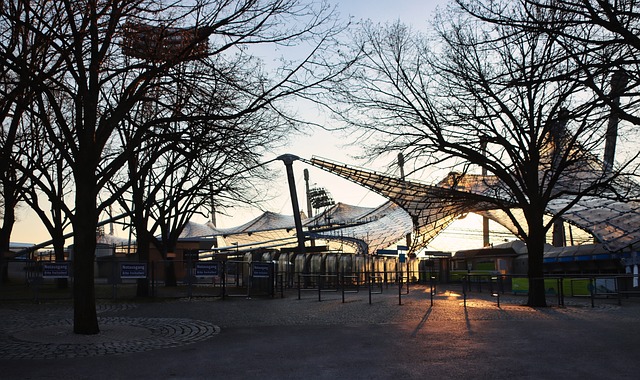 展示