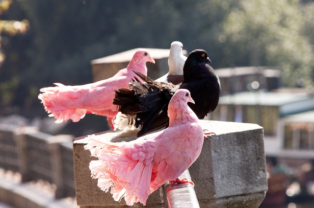 可以回顾今 可以回顾今