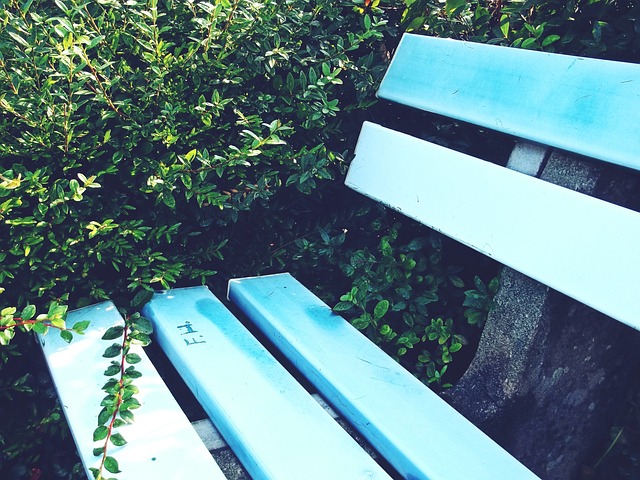 反思柏林联 反思柏林联