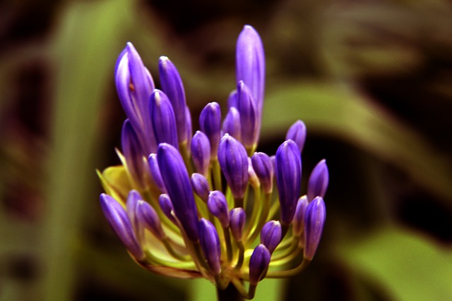 过程中有 过程中有